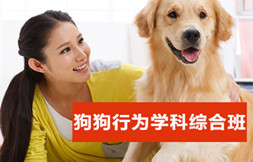综合班宠物训练收费表